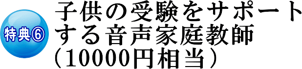 q̎󌱂T|[g鉹ƒ닳ti10000~j